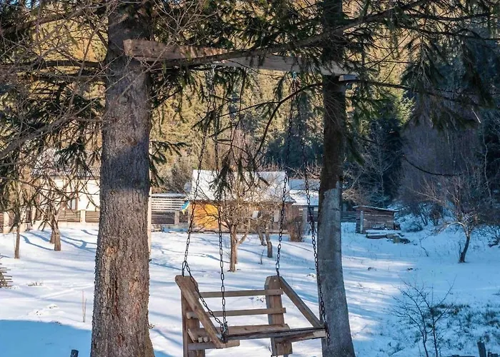 жорна Daire Mykulychyn
